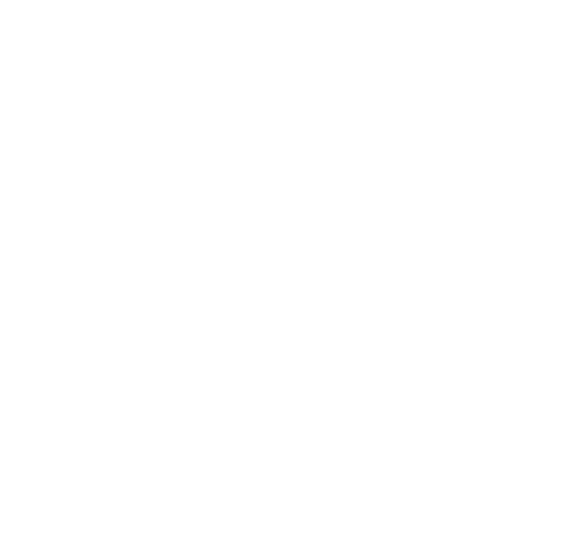 About Artist Lisa Mintz