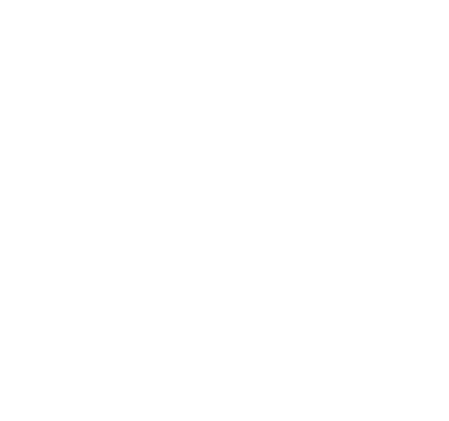 Contact Artist Lisa Mintz