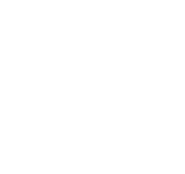 The Art of Lisa Mintz