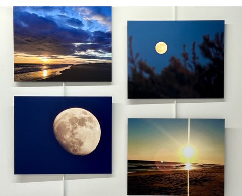 artist lisa mintz photography exhibition